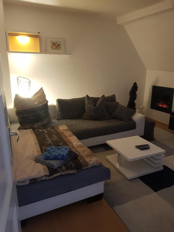 Apartment Am Suedpark Erfurt - Inkl Garten Mit Sitzlounge - Zentrumsnah Bagian luar foto