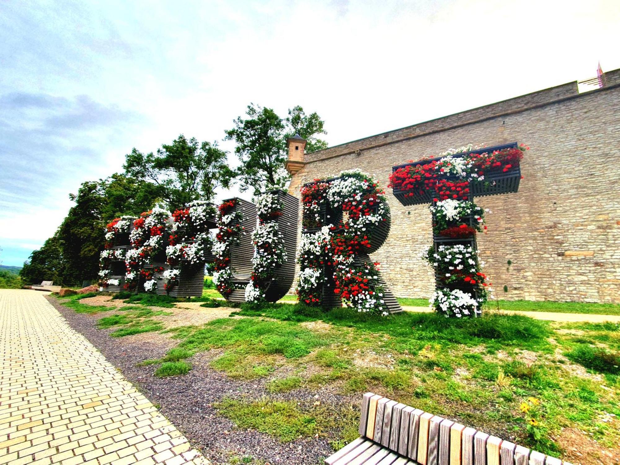 Apartment Am Suedpark Erfurt - Inkl Garten Mit Sitzlounge - Zentrumsnah Bagian luar foto