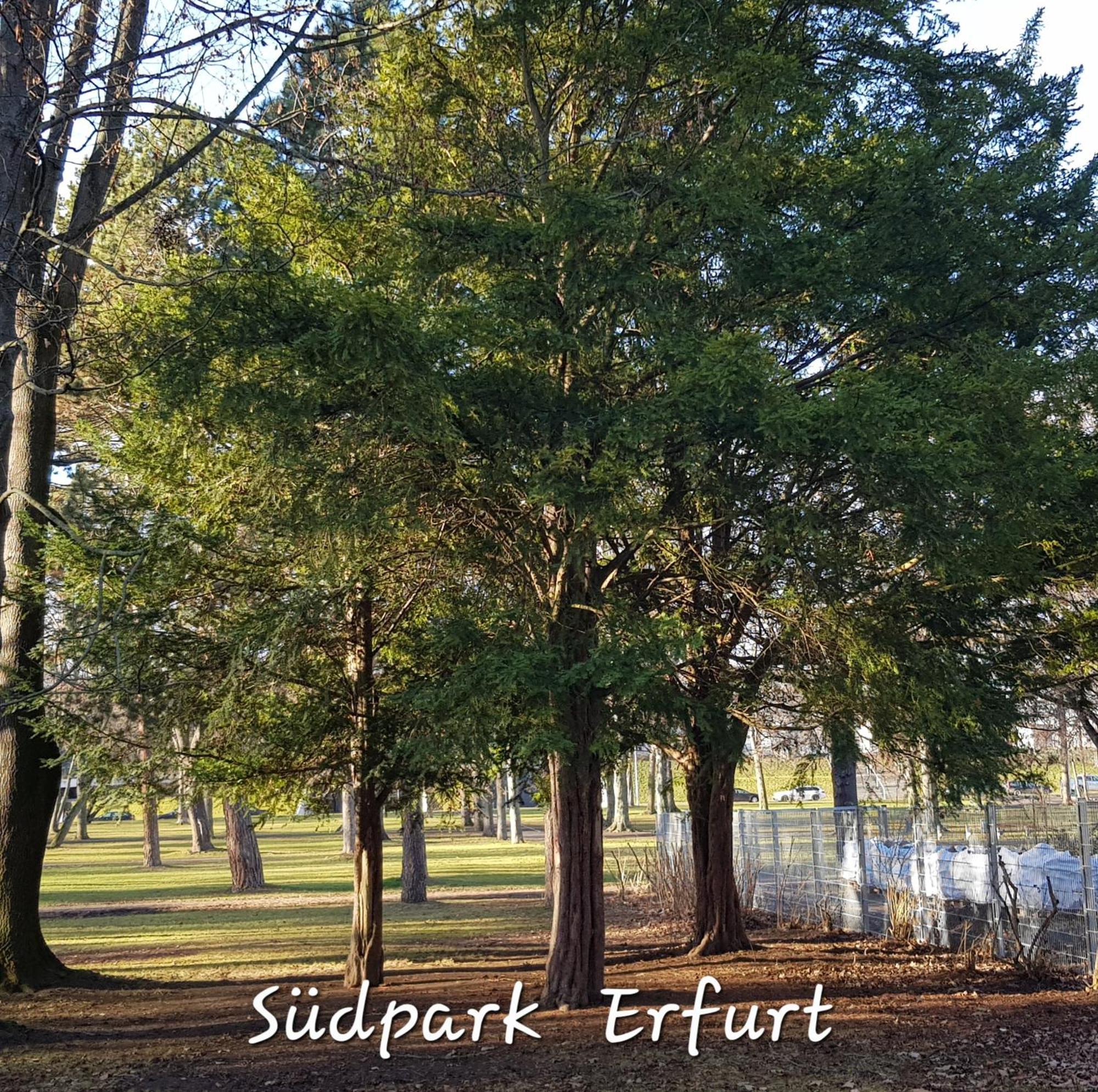 Apartment Am Suedpark Erfurt - Inkl Garten Mit Sitzlounge - Zentrumsnah Bagian luar foto